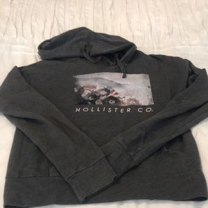 Hollister sweatshirt